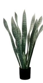 J-Line Sanseveria